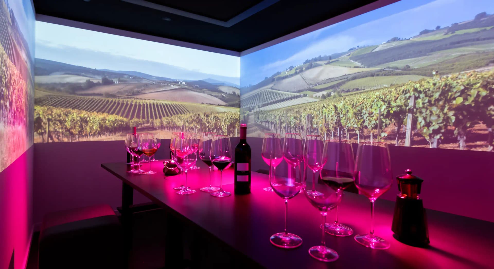Salons du vin 2026 : masterclass et parcours sensoriels