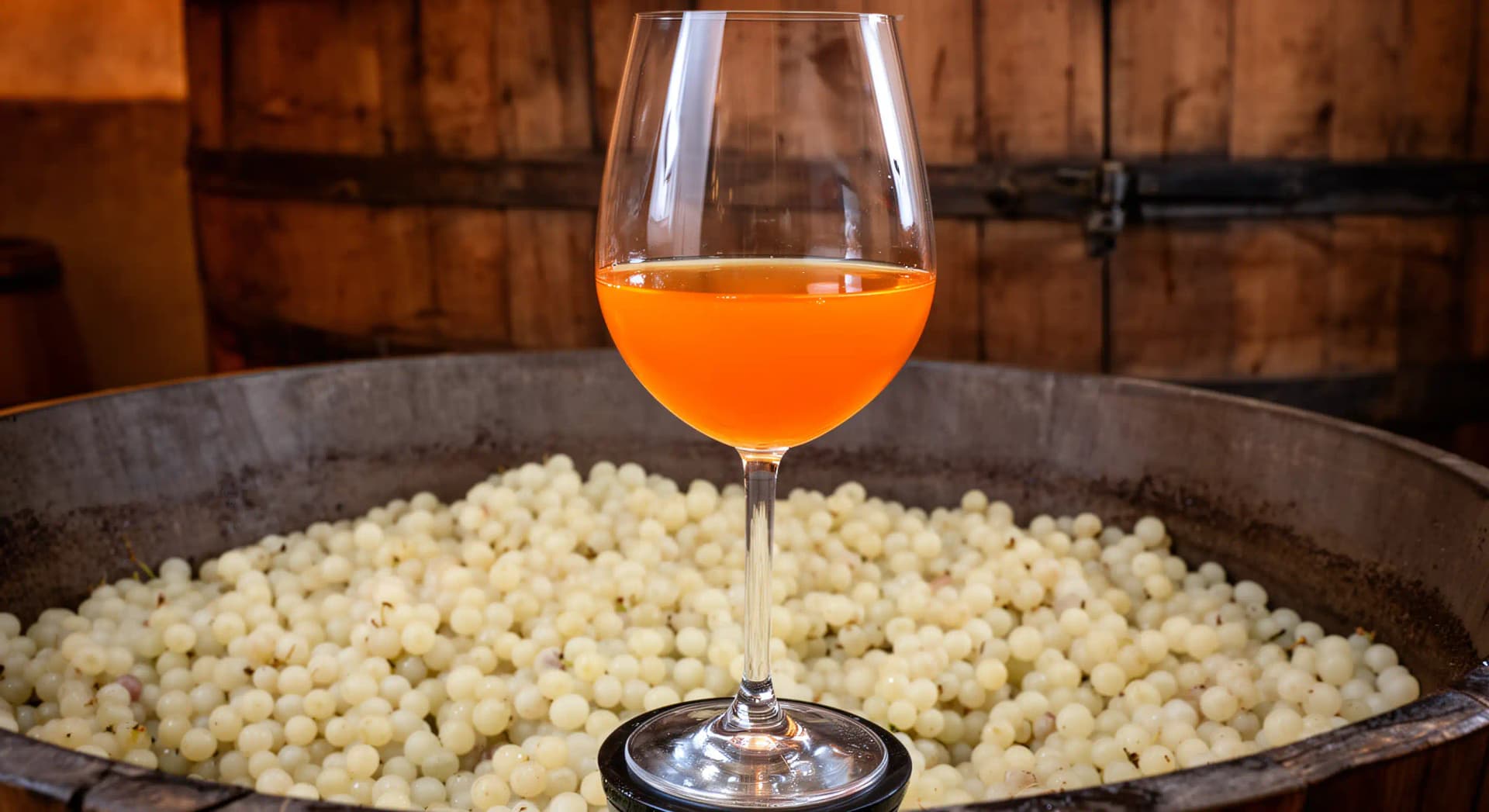 Vin orange: vinification, dégustation et pourquoi il séduit